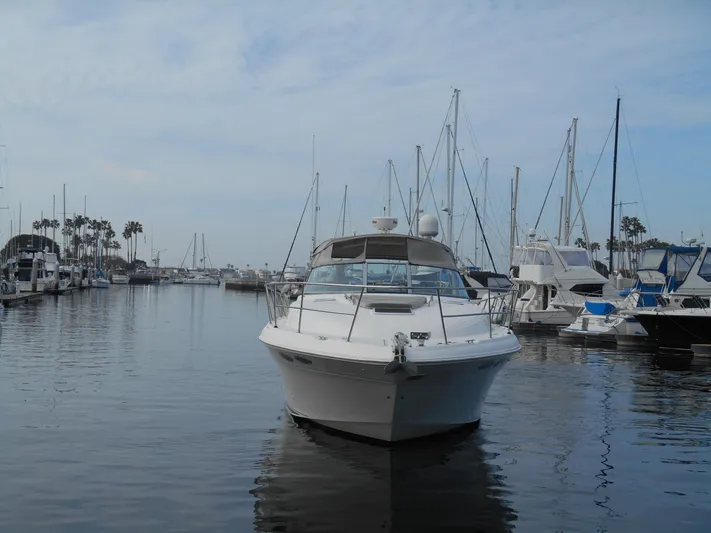 Cygnus Yacht Photos Pics Sea Ray Sundancer 410 yacht, 2000 model, docked in a marina with sailboats.