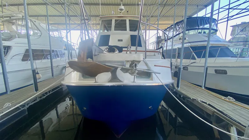 Popeye Yacht Photos Pics 