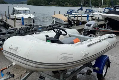 2016 Ribeye TS 310
