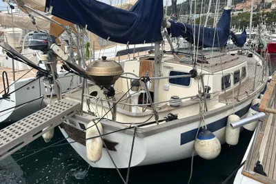 Belliure Endurance 35