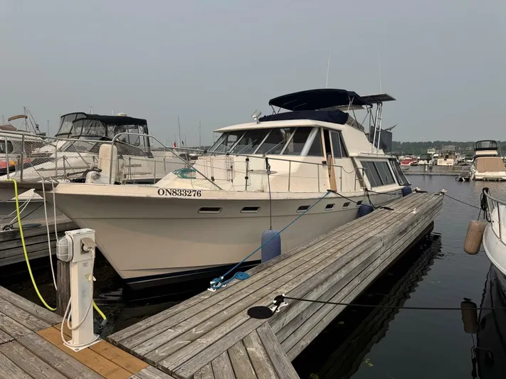  Yacht Photos Pics 1988 Bayliner 4550/4558 Pilothouse yacht docked at marina, surrounded by other boats.