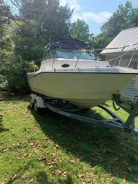 Seaswirl Striper 21