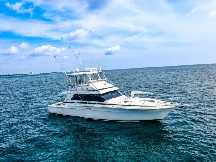 Wonderer Yacht Photos Pics 1987 Bertram 54 Convertible yacht cruising on open sea under blue sky.