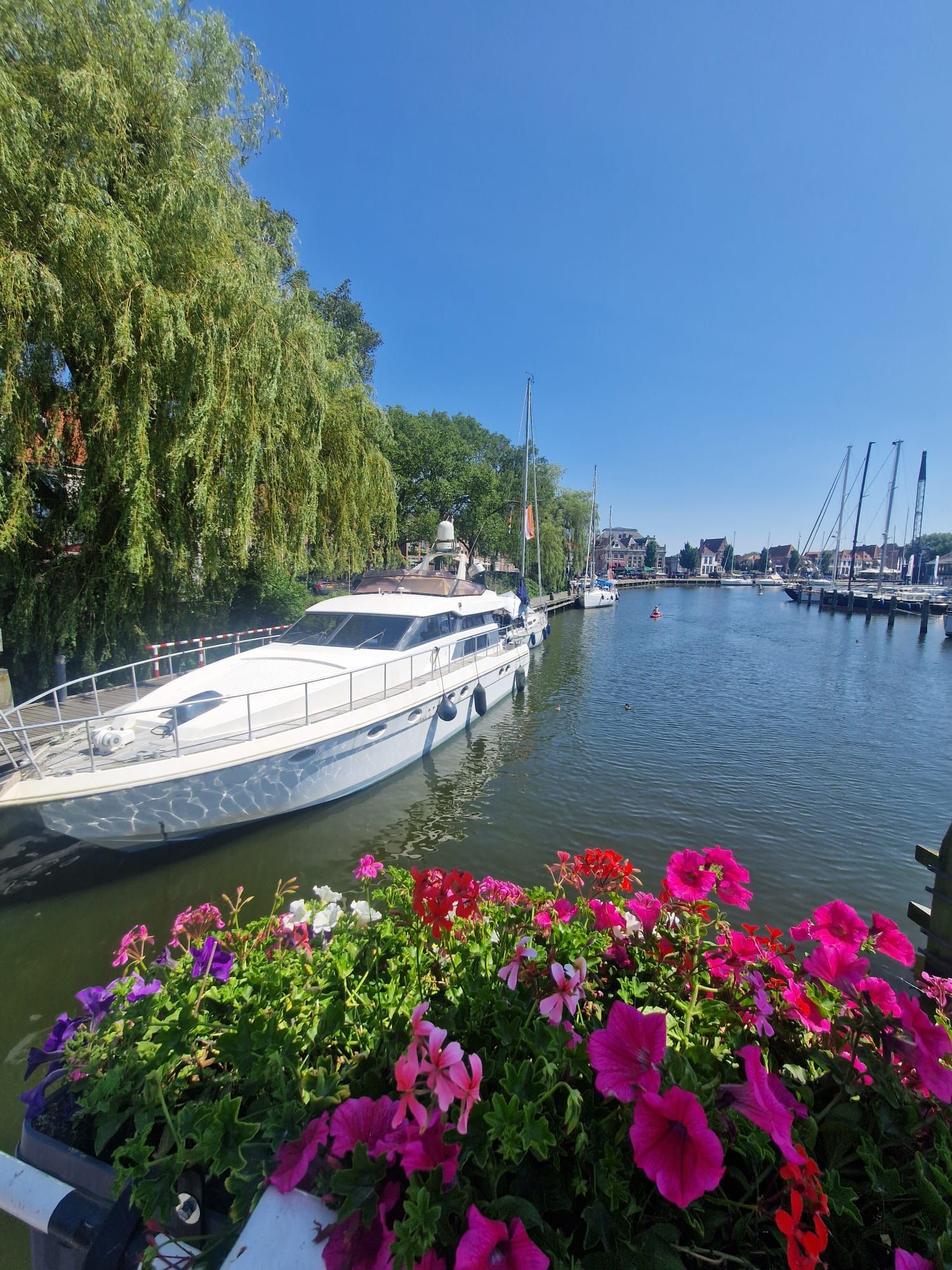 1990 Dalla Pieta Asterion 52