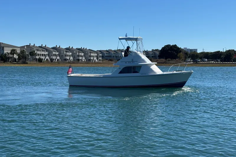 Bandit Yacht Photos Pics 1970 Bertram 31 Flybridge Cruiser on calm water, with buildings in the background.