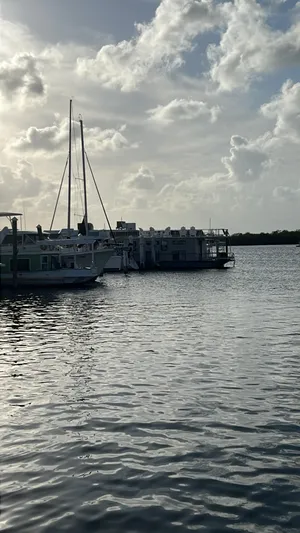 Taco Truck Yacht Photos Pics 