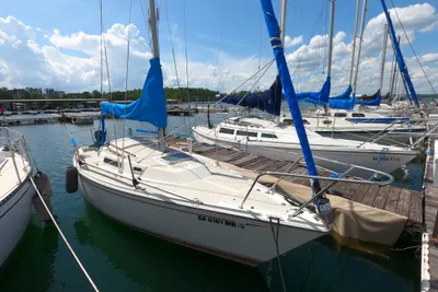 CAL 24