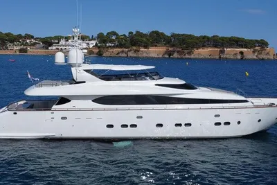 Maiora 31DP