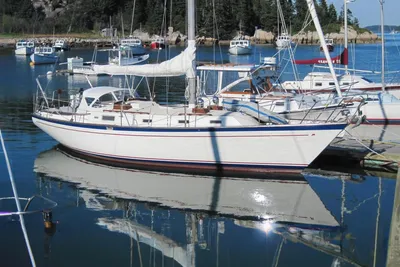 Morgan 384