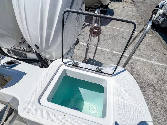  Yacht Photos Pics 2025 Edgewater 262CC boat with open livewell, showcasing modern design and functionality.