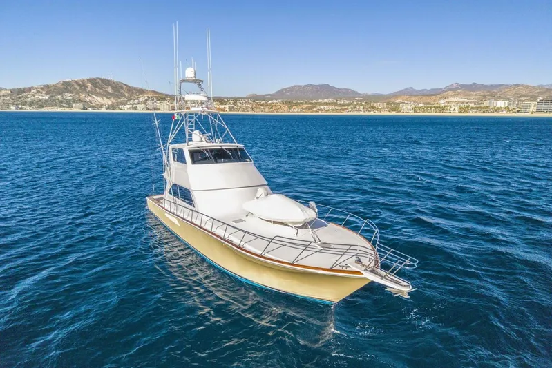 Bella Betty Yacht Photos Pics 2003 Viking 65 Enclosed Bridge yacht on blue ocean with coastal background.