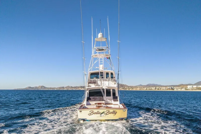 Bella Betty Yacht Photos Pics 2003 Viking 65 Enclosed Bridge yacht cruising on open sea with coastal backdrop.