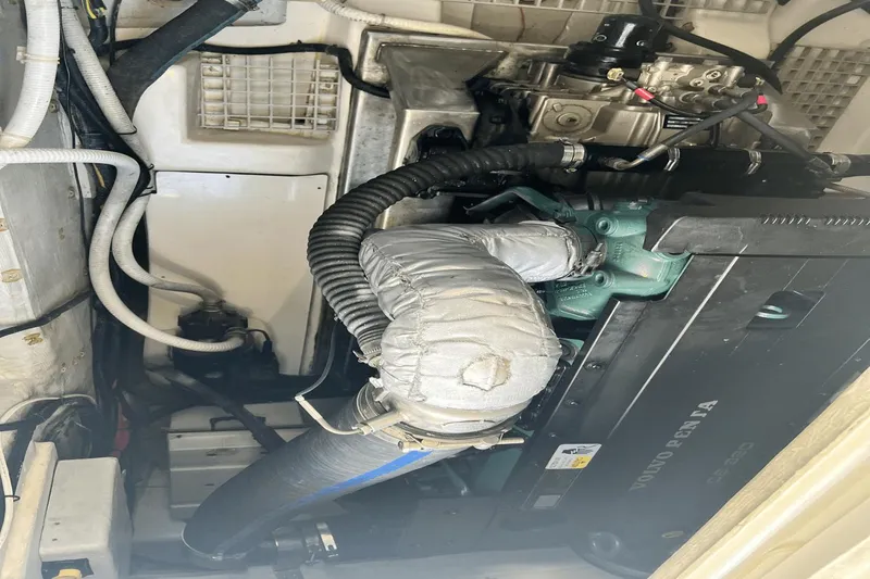 Packer Fan Yacht Photos Pics 