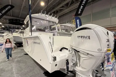 NorthCoast 285 Cabin