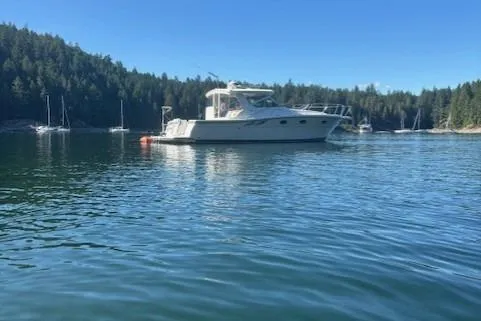 Ocean Cloud Yacht Photos Pics 2001 Tiara Yachts 3500 Open in serene waters, surrounded by lush forested landscape.