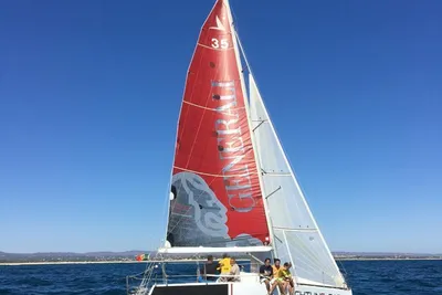 1996 Custom Botim 33