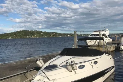 2008 Stingray 250 CS