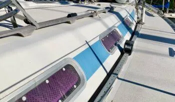 Cavallino Yacht Photos Pics 