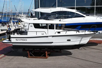 Sargo 31