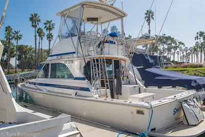 Bertram 35 Convertible