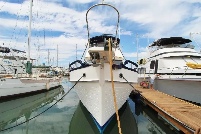  Yacht Photos Pics 