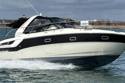 Bavaria Sport 31