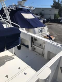 2010 Intrepid 323