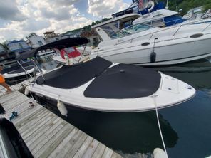 Sea Ray 230 SLX