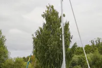 Sailboat CR 400 DS 2002 docked on calm water with trees in the background.