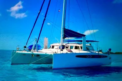 Dolphin 43
