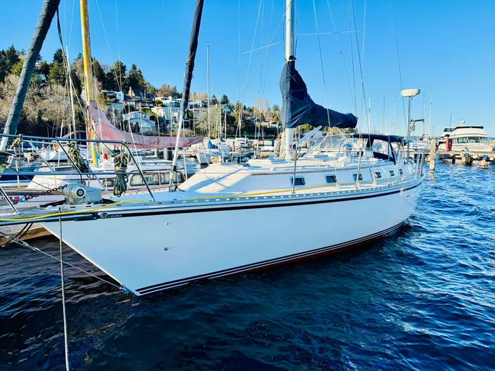 Perfect Salinity Yacht Photos Pics 