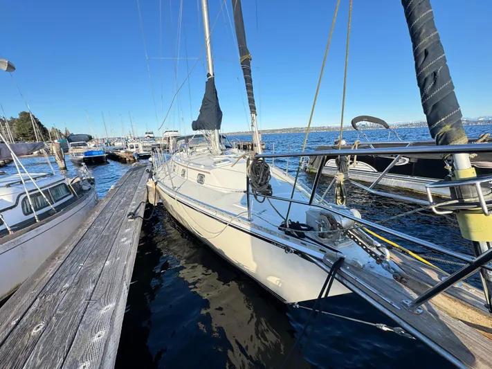 Perfect Salinity Yacht Photos Pics 