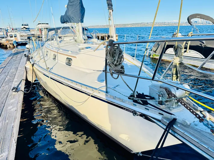 Perfect Salinity Yacht Photos Pics 