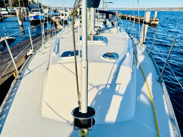 Perfect Salinity Yacht Photos Pics 