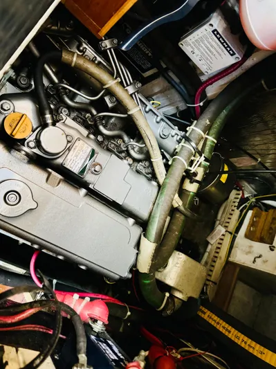 Perfect Salinity Yacht Photos Pics 