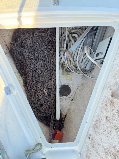 Perfect Salinity Yacht Photos Pics 