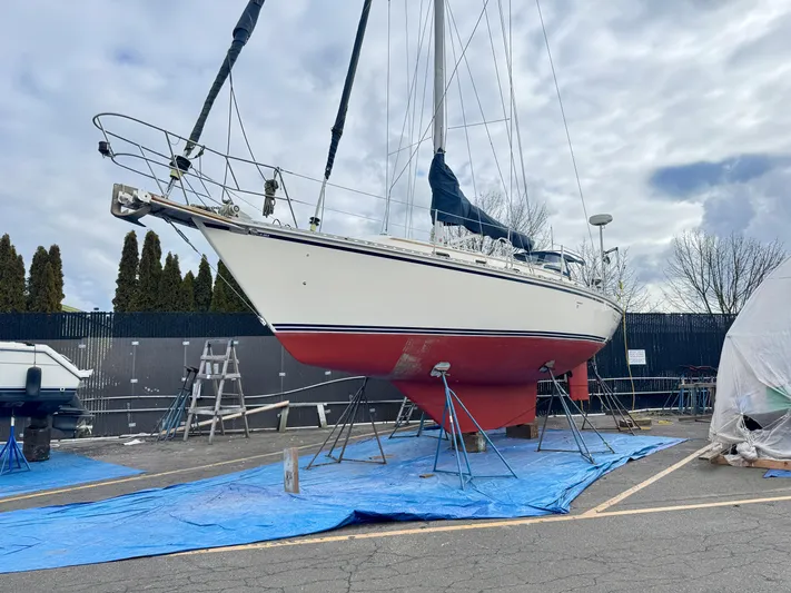 Perfect Salinity Yacht Photos Pics 