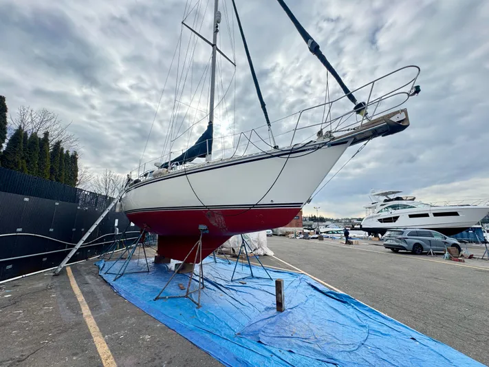 Perfect Salinity Yacht Photos Pics 