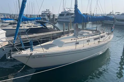 CAL 31
