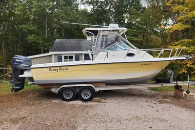 Hydra-Sports Lightning 230 WA