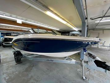Sea Ray SPX 190 OB