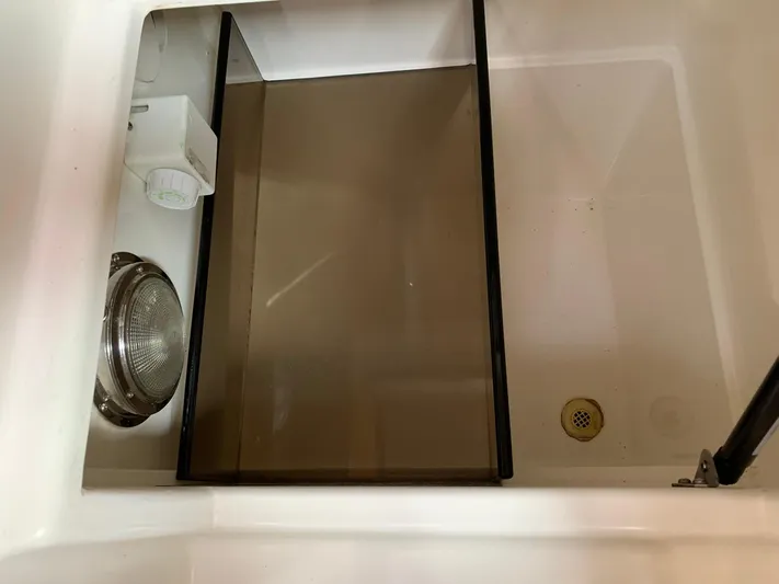 Wild Horses Yacht Photos Pics 