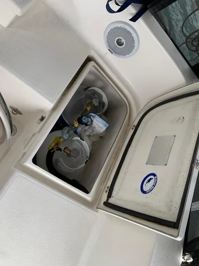 Wild Horses Yacht Photos Pics 