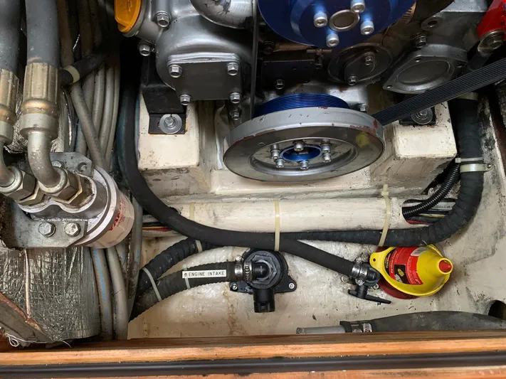 Wild Horses Yacht Photos Pics 