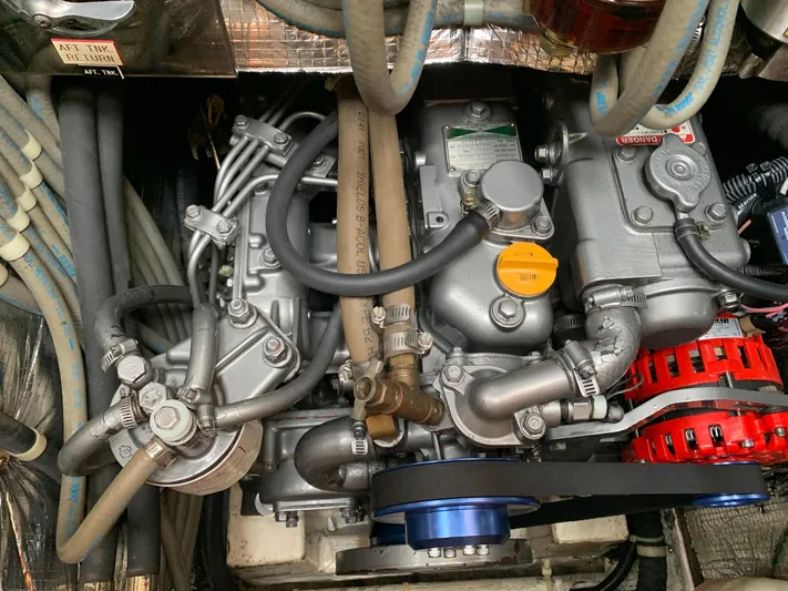 Wild Horses Yacht Photos Pics 