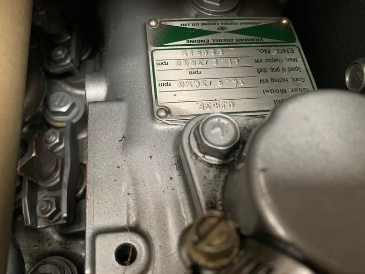 Wild Horses Yacht Photos Pics 