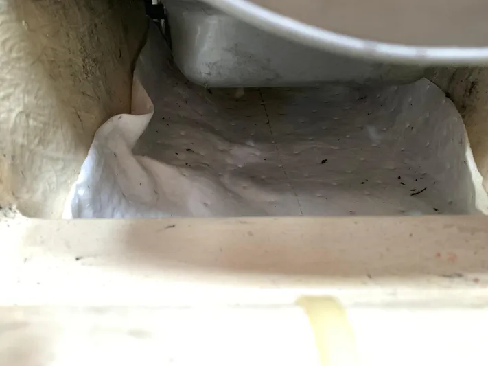 Wild Horses Yacht Photos Pics 