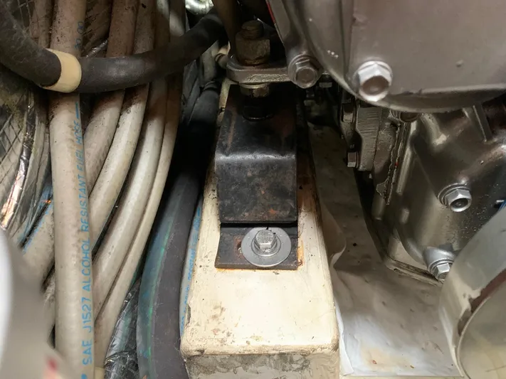 Wild Horses Yacht Photos Pics 