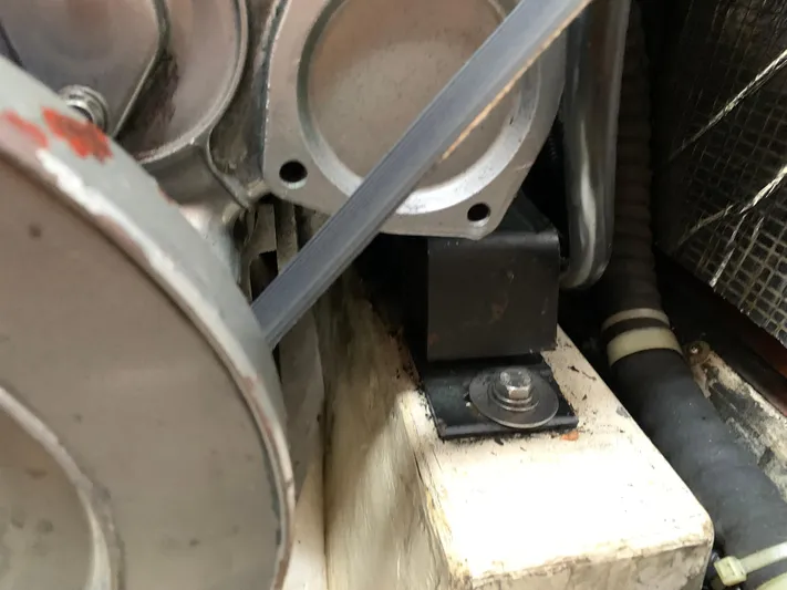 Wild Horses Yacht Photos Pics 