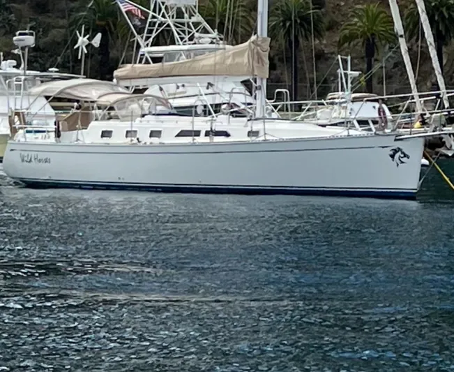 Wild Horses Yacht Photos Pics 